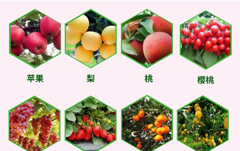 葉果亮亮-靚顏-艾樂(lè)美_10