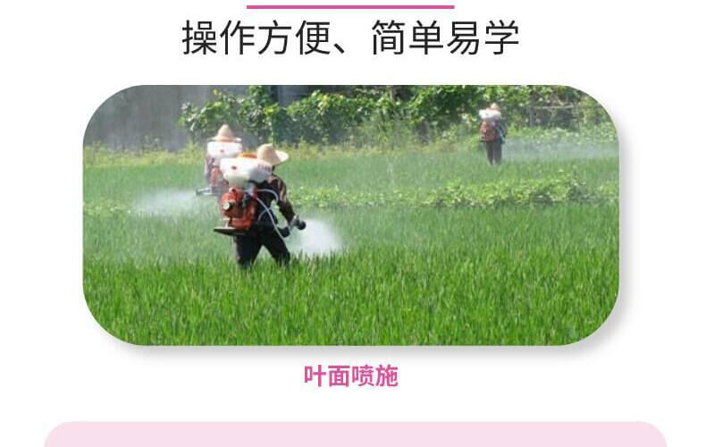 葉果亮亮-靚顏-艾樂(lè)美_12