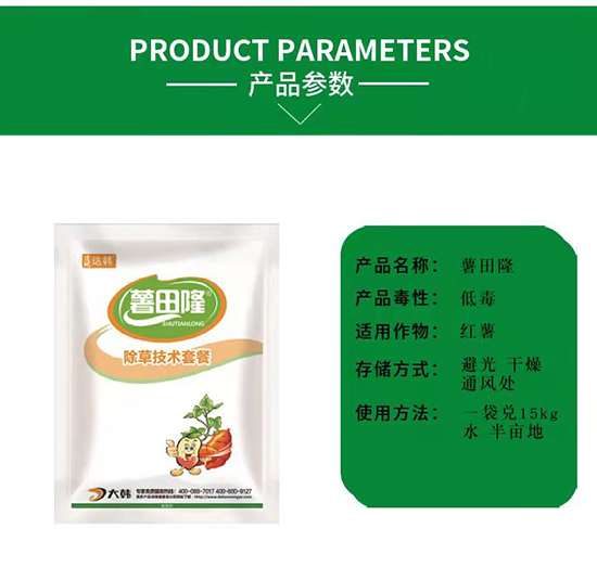 �t�����݄�-�t�����-�t�팣��-���n2