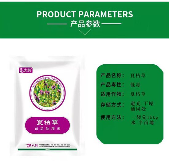 �Ŀݲݳ��݄�-�Ŀݲ����-�Ŀݲ݌���-���n2