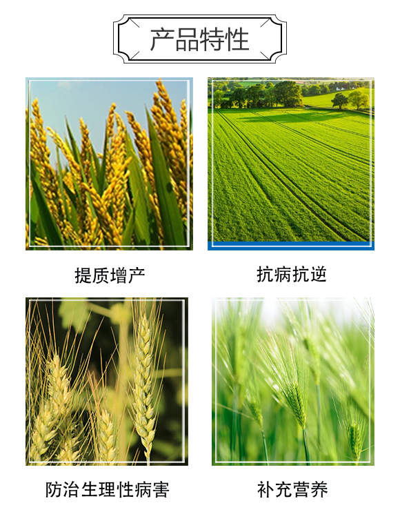 河南中科農(nóng)業(yè)科技研究院3_03