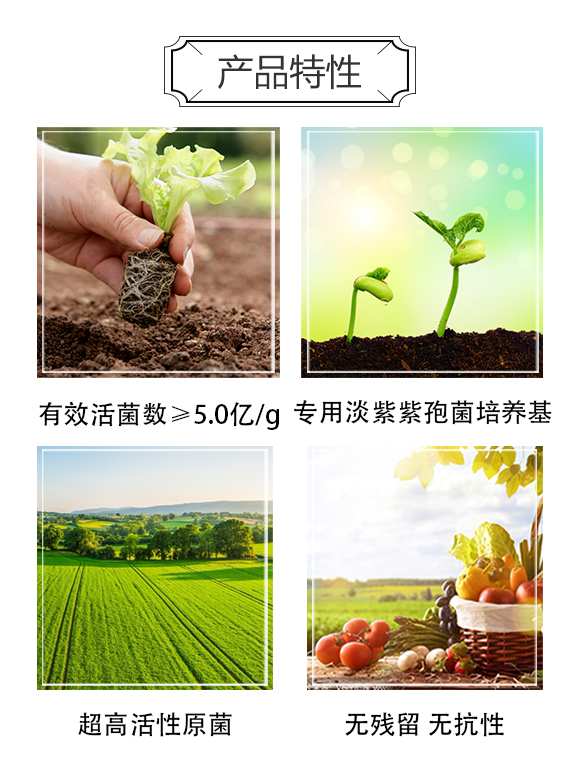 �����f�����ﱣ�o���޹�˾_03