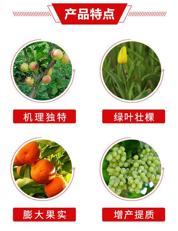 犽滿匠人-加號(hào)農(nóng)業(yè)_03