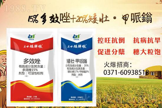 С����������(sh��)���ɓ������I(y��)������Ч��������