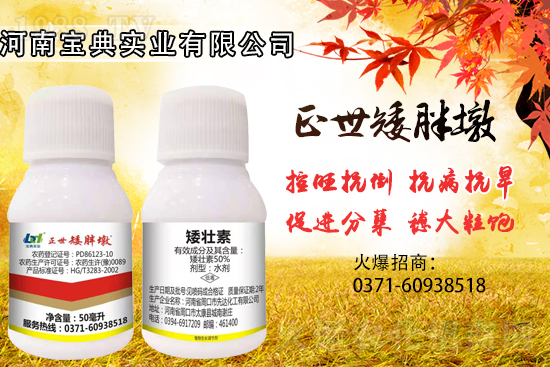 С����������(sh��)���ɓ������I(y��)������Ч��������