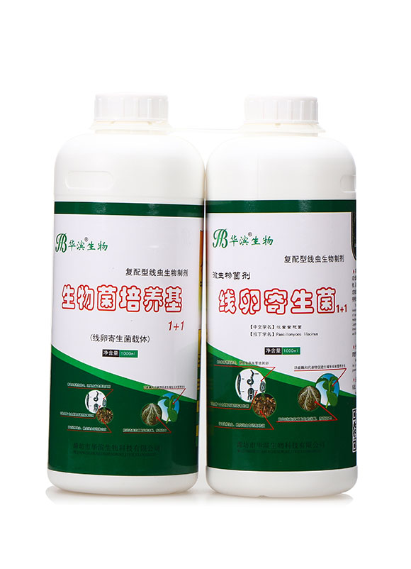 ��������B(y��ng)��+���Ѽ�����-�A�I1