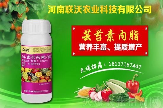 百部適合什么地方種植？百部種植前景及種植技術！