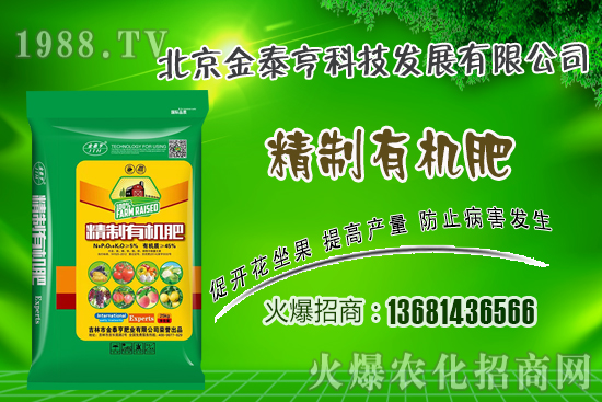 春季草莓該如何管理？草莓肥水管理技術(shù)！