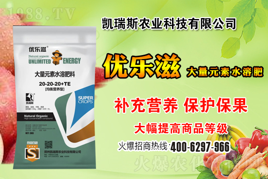 2021��3��11�����a�^(q��)С���r������