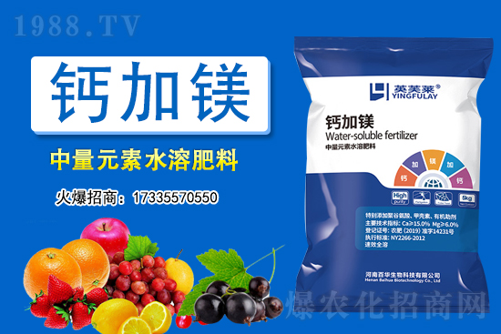 2021年3月11日全國(guó)各地大豆價(jià)格行情