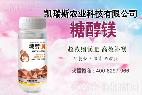 馬鈴薯噴什么葉面肥結(jié)果多？馬鈴薯種植條件及管理！