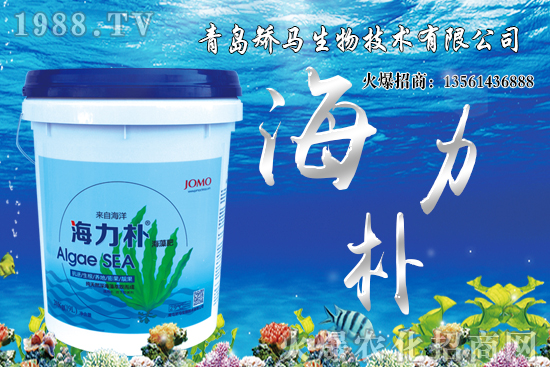 ѩ����r(ji��)������Xһ����2021��Nֲѩ����ٍ�X����