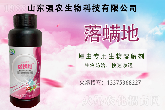 紅蜘蛛、白蜘蛛、黃蜘蛛用什么打？綜合防治怎么做？