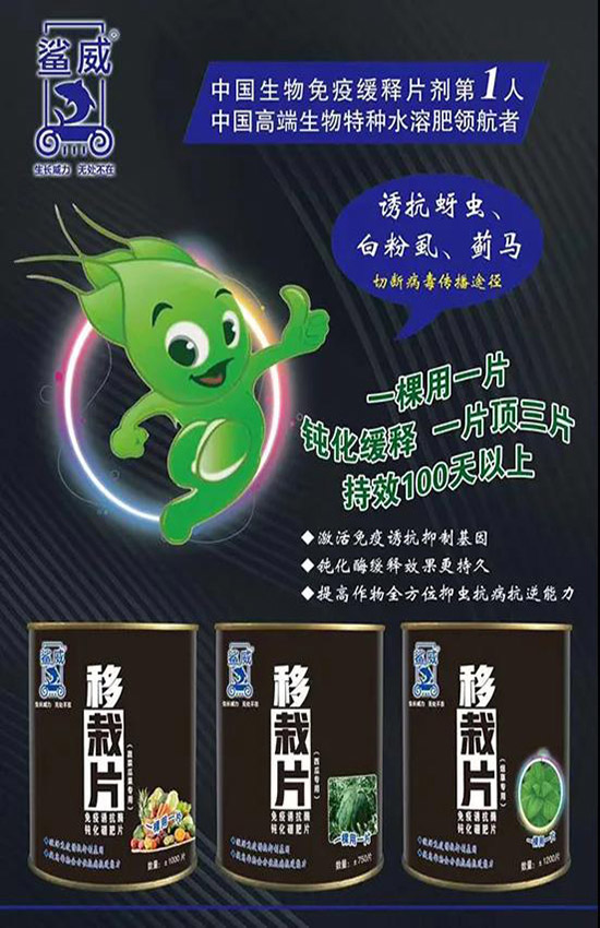 作物移栽時(shí)，怎么做能有效避免蟲害呢？