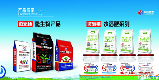 “菜無味、瓜不甜、果不香”是化肥惹的禍？