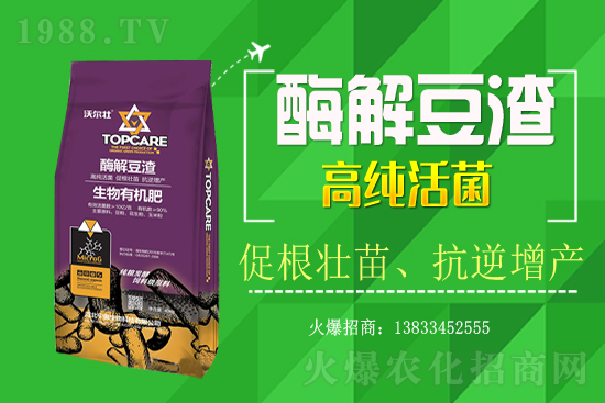 紫蘇種植怎樣管理？紫蘇田間除草及施肥技術(shù)！