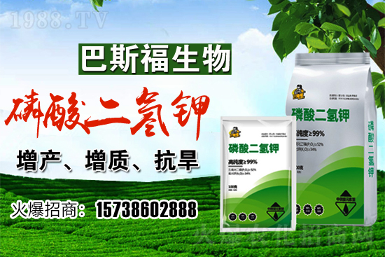 С���r��F(xi��n)�ڶ����Xһ�������������߄���Σ�