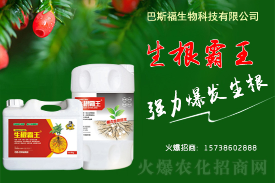 2021��4��20��ȫ�����ش󶹬F(xi��n)؛��(b��o)�r