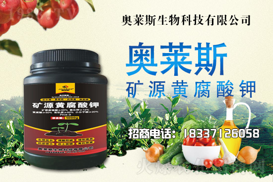 靈芝生產(chǎn)季節(jié)是什么時候？靈芝熟料段木仿生栽培技術(shù)！