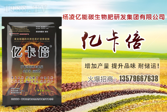 菠蘿蜜產(chǎn)地在我國哪些省份？菠蘿蜜有哪些常見品種？