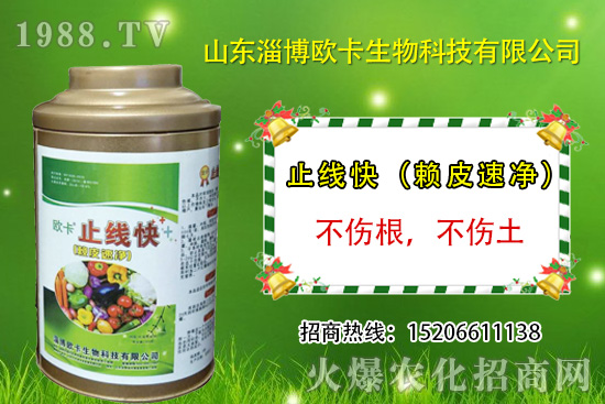 �W�������ٺ�1988.TV������(sh��)�F(xi��n)��I(y��)�v�w��(m��ng)��