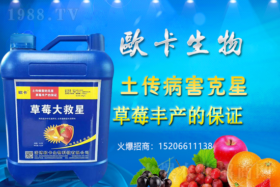 �W�������ٺ�1988.TV������(sh��)�F(xi��n)��I(y��)�v�w��(m��ng)��