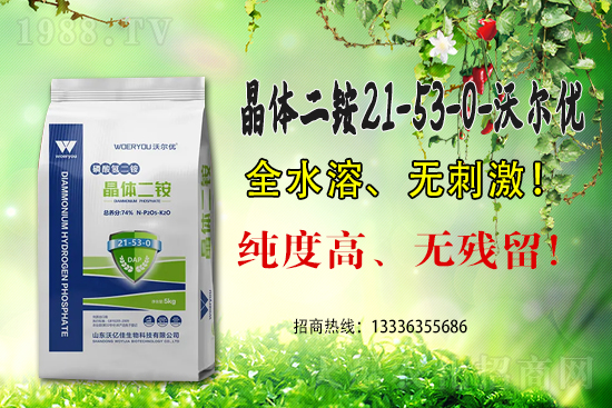 二銨高價(jià)，近期國(guó)內(nèi)磷銨價(jià)格行情日?qǐng)?bào)（6月15）