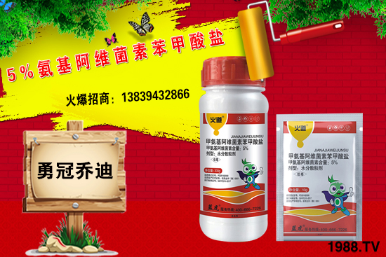 合作升級，勇冠喬迪（藍虎）再簽1988.TV，共創(chuàng)新輝煌！