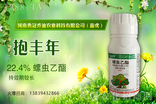 合作升級，勇冠喬迪（藍虎）再簽1988.TV，共創(chuàng)新輝煌！