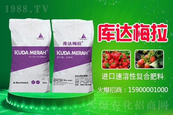 原料上漲，2021年6月2日復(fù)合肥漲勢如何？