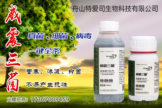 �r(n��ng)ˎ�r(ji��)��