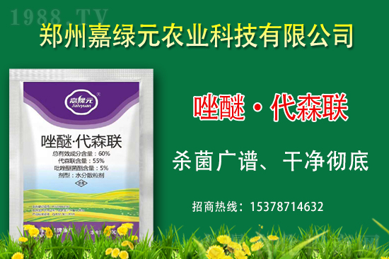 ����������(j��)���ξGԪ�r(n��ng)�I(y��)�ٺ�1988.TV������(chu��ng)���x�ͣ�