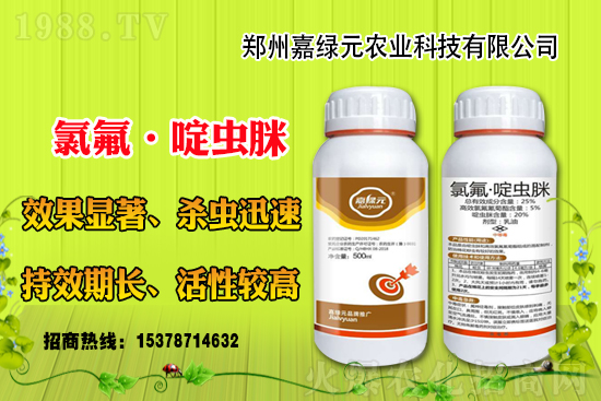 ����������(j��)���ξGԪ�r(n��ng)�I(y��)�ٺ�1988.TV������(chu��ng)���x�ͣ�