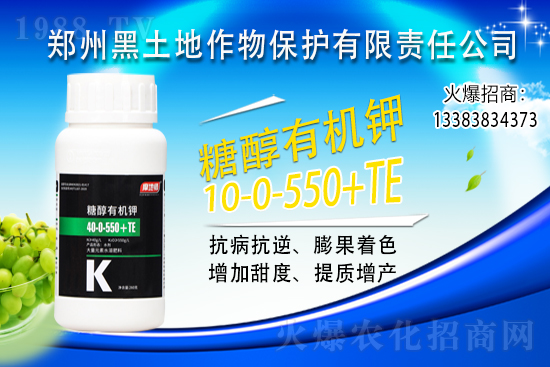 2021��6��30��⛷ʃr(ji��)��������?q��ng)?b��o)