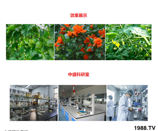 膨果著色型含腐植酸水溶肥 田地精華 農(nóng)富天下4