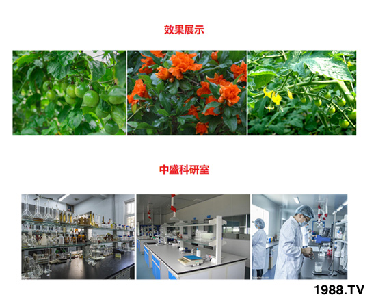 5kg含氨基酸水溶肥 田地精華 農(nóng)富天下4