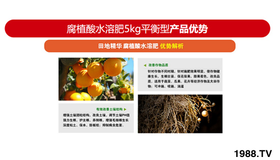 平衡生長型含腐植酸水溶肥 田地精華 農(nóng)富天下3