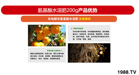 200g含氨基酸水溶肥 田地精華 農(nóng)富天下3