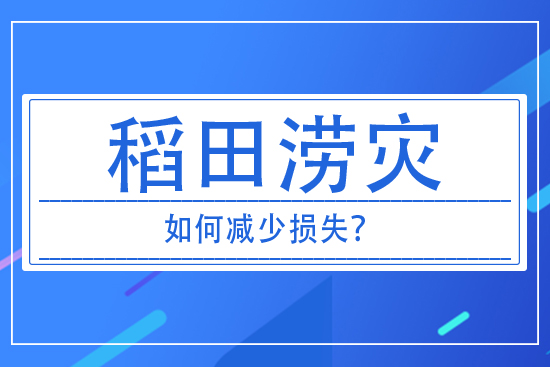 稻田澇災發(fā)生后，如何減少損失？
