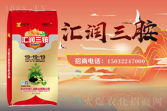 �r(n��ng)���W(w��ng)ϲӭ���������Ј�R�����s1988.TV�y�ִ����������E��