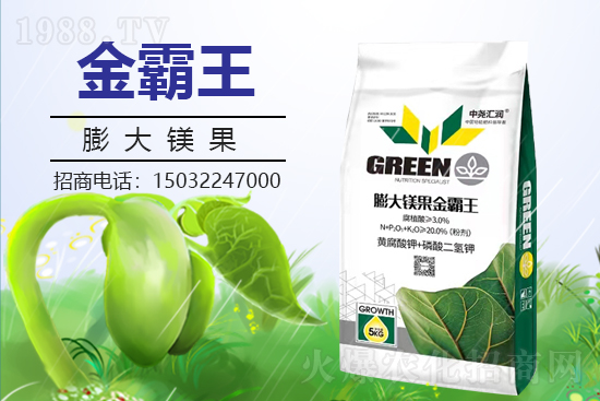 �r(n��ng)���W(w��ng)ϲӭ���������Ј�R�����s1988.TV�y�ִ����������E��