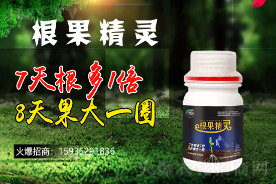 ��ɫ�и��m���m(x��)1988.TV�����\�����°l(f��)չ��