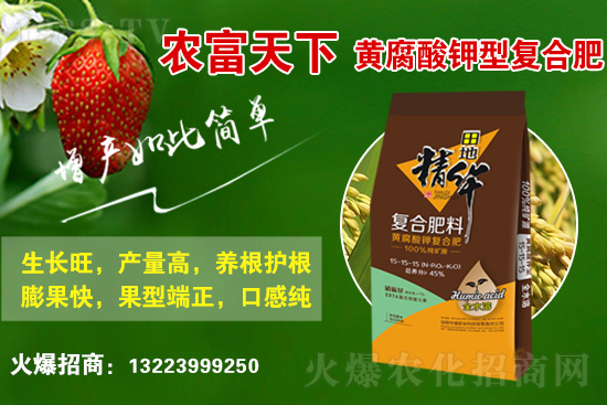 河南暴雨洪澇災(zāi)后墑情及生產(chǎn)恢復(fù)技術(shù)指導(dǎo)意見(jiàn)