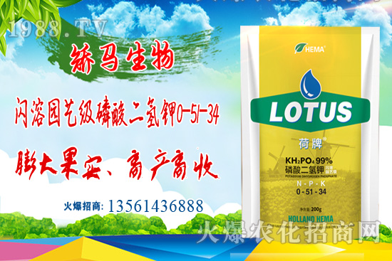 農(nóng)業(yè)農(nóng)村部油料專家指導(dǎo)組：芝麻抗災(zāi)減災(zāi)應(yīng)急方案