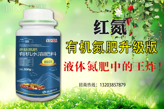 ���מ�ʲô�����F(xi��n)��˥�@�N�F(xi��n)����α���������˥��