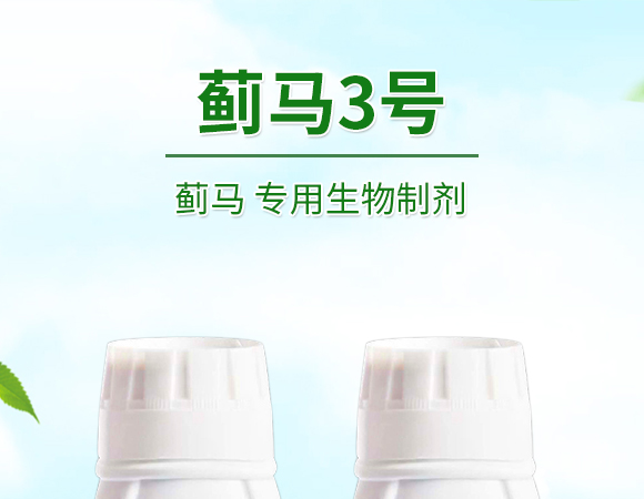 薊馬、跳甲生物制劑-薊甲3號-悅地豐生物_01