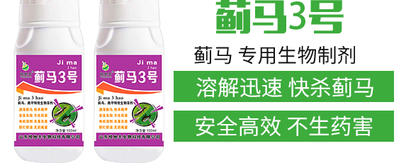 薊馬、跳甲生物制劑-薊甲3號-悅地豐生物_03