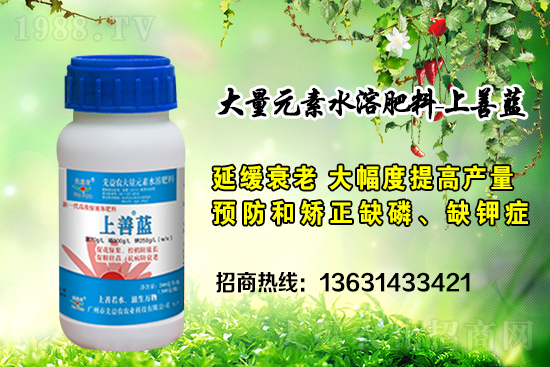 �V���������r(n��ng)�ٶȔy��1988.TV���y�ֹ���(chu��ng)��(zh��n)��(j��)��