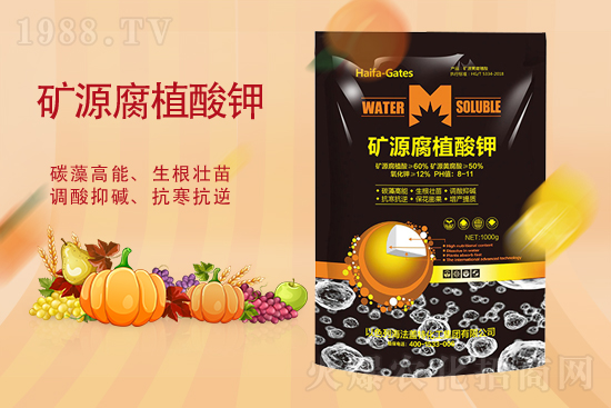 2021��9��23��⛷ʃr(ji��)�������߄�