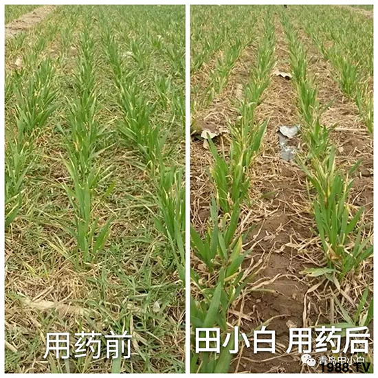 С���s�ݣ���(ji��)��(ji��)�����E�ɞ�(z��i)����ô�k��С�����݄���ô�x